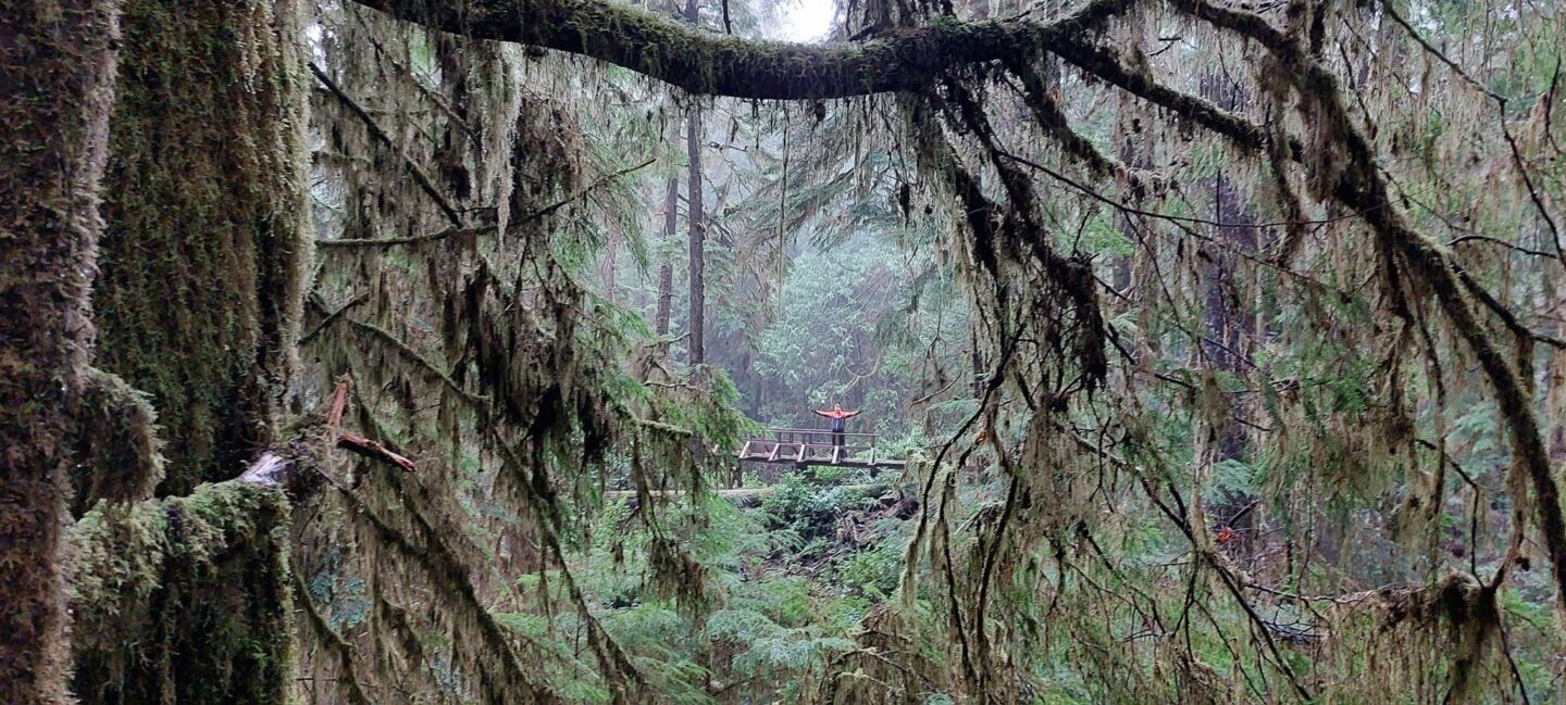 323373608_933511087617128_4111735881521786882_n