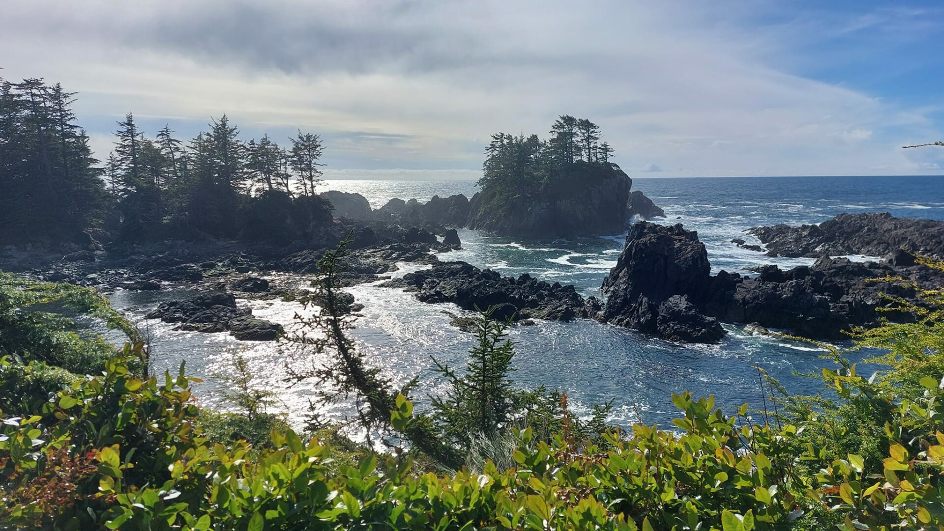 336367417_1889318464773511_8403252621097249867_n