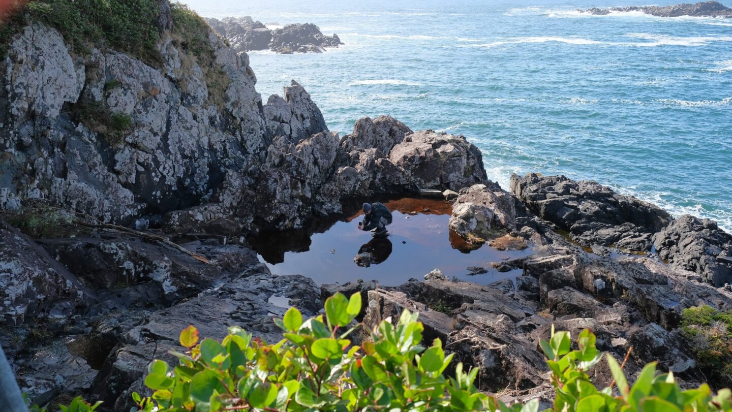 336380622_1856565498075625_2854577917954205592_n