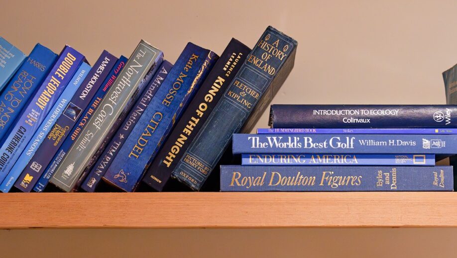 Comnon Area Snug Harbour Web Size00013 e1724966453810