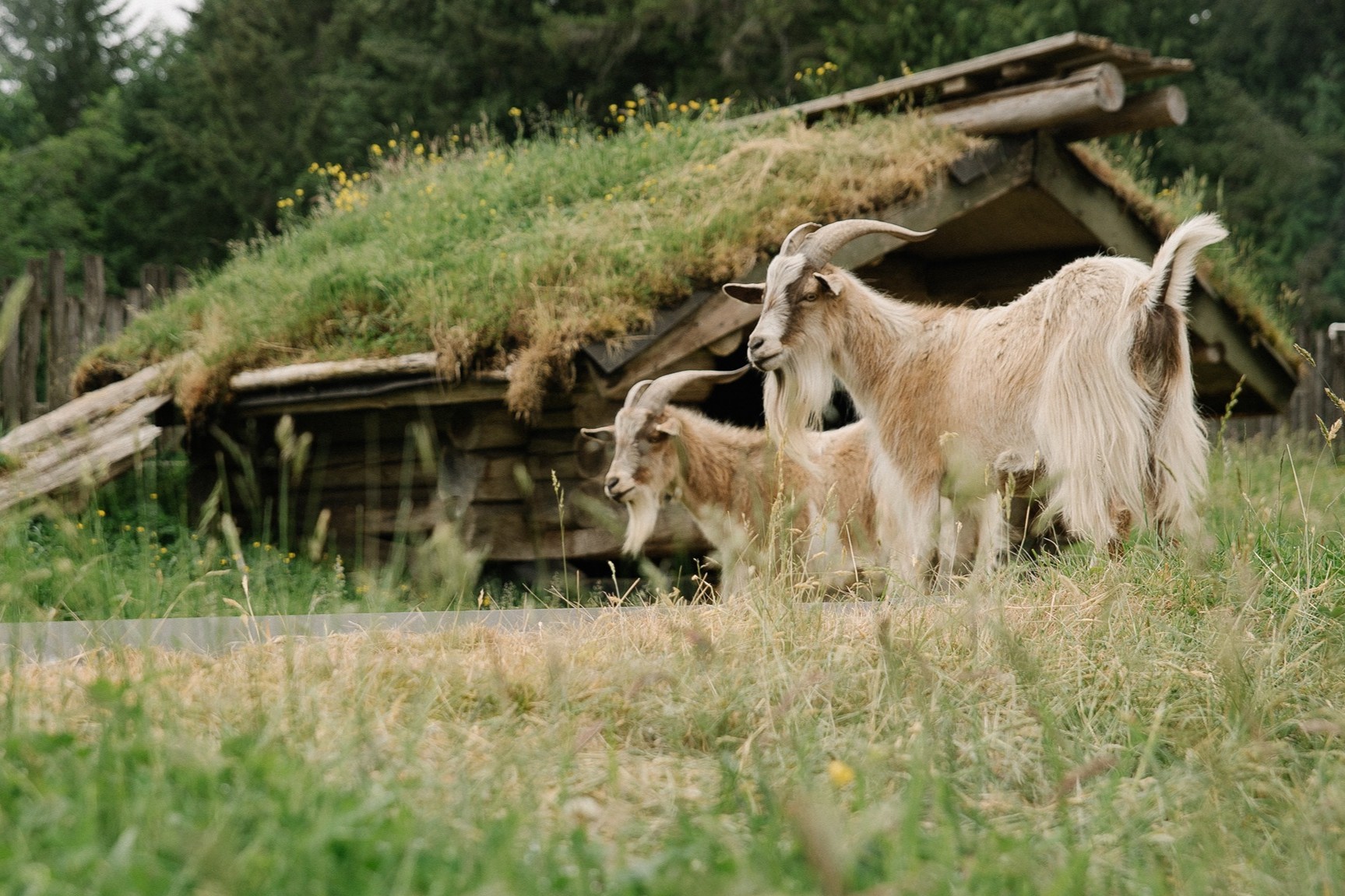 481673171_1077249461108819_5977955870828086808_n