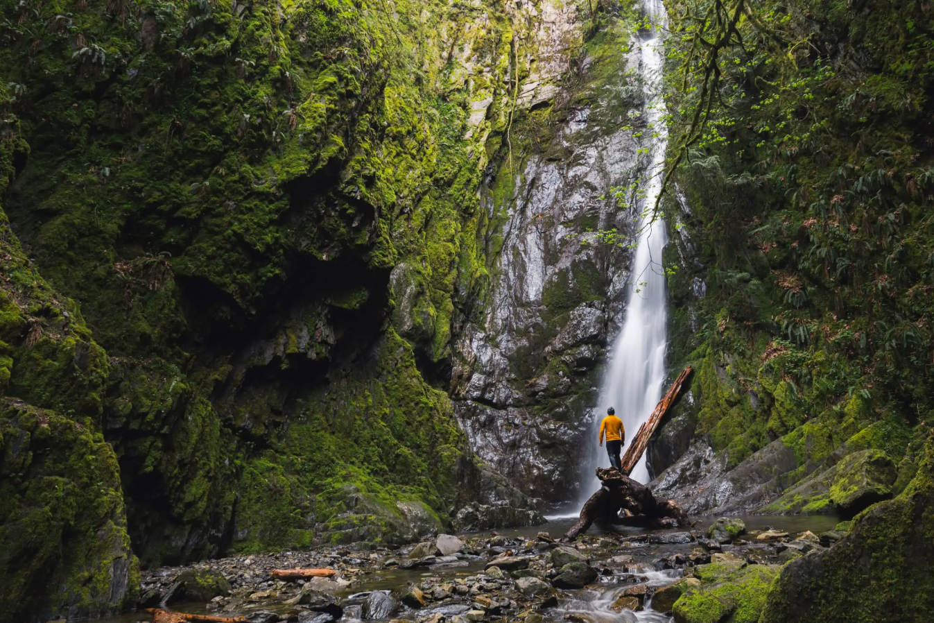 Screenshot 2025 07 01 002252 1